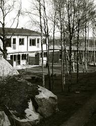Korsåsen Korsåsgatan Korsåsliden
Radhus uppförda 1973-74
Bostadsaktiebolaget lät sin elementfabrik producera betongelement till radhusen på Korsåsen som ett experiment. Korsåsen blev det enda området av sitt slag som byggdes på det här viset, trots att husen ansågs vara både prisvärda och med hög trivsel.