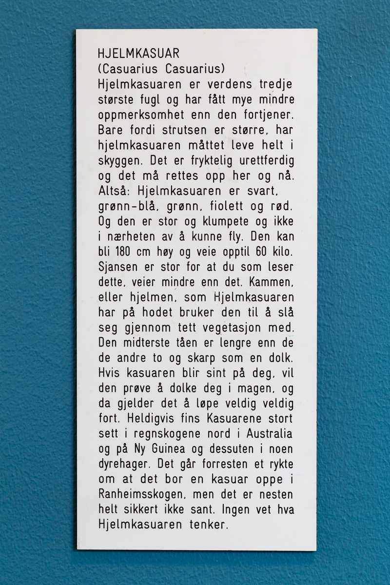 Sykkel, en onkel som angrer på noe han gjorde i går,  Kruska-Larsen, Sekaseka og waka waka, hjelmasuar (verdens tredje største fugl), gutt, bever, pølseretter med piff / barneselskapets pølsepinsvin, øvelse (dame gjør markløft med 1000 kg), onkel som venter på at noe magisk skal skje, fariseer, vann, en mistenksom bever, jente, banan, Kina, livet (to brune skyer med øyne og bein), en bedrøvet ugle, los, døden, fremtid, ugler, en feig banan, ost, Maj-Britt Kartum (rektor), noen gode ting man kan bli.