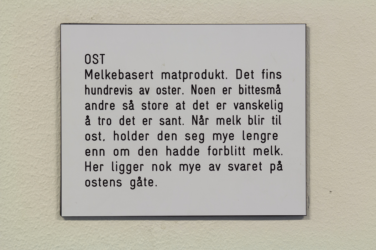 Sykkel, en onkel som angrer på noe han gjorde i går,  Kruska-Larsen, Sekaseka og waka waka, hjelmasuar (verdens tredje største fugl), gutt, bever, pølseretter med piff / barneselskapets pølsepinsvin, øvelse (dame gjør markløft med 1000 kg), onkel som venter på at noe magisk skal skje, fariseer, vann, en mistenksom bever, jente, banan, Kina, livet (to brune skyer med øyne og bein), en bedrøvet ugle, los, døden, fremtid, ugler, en feig banan, ost, Maj-Britt Kartum (rektor), noen gode ting man kan bli.