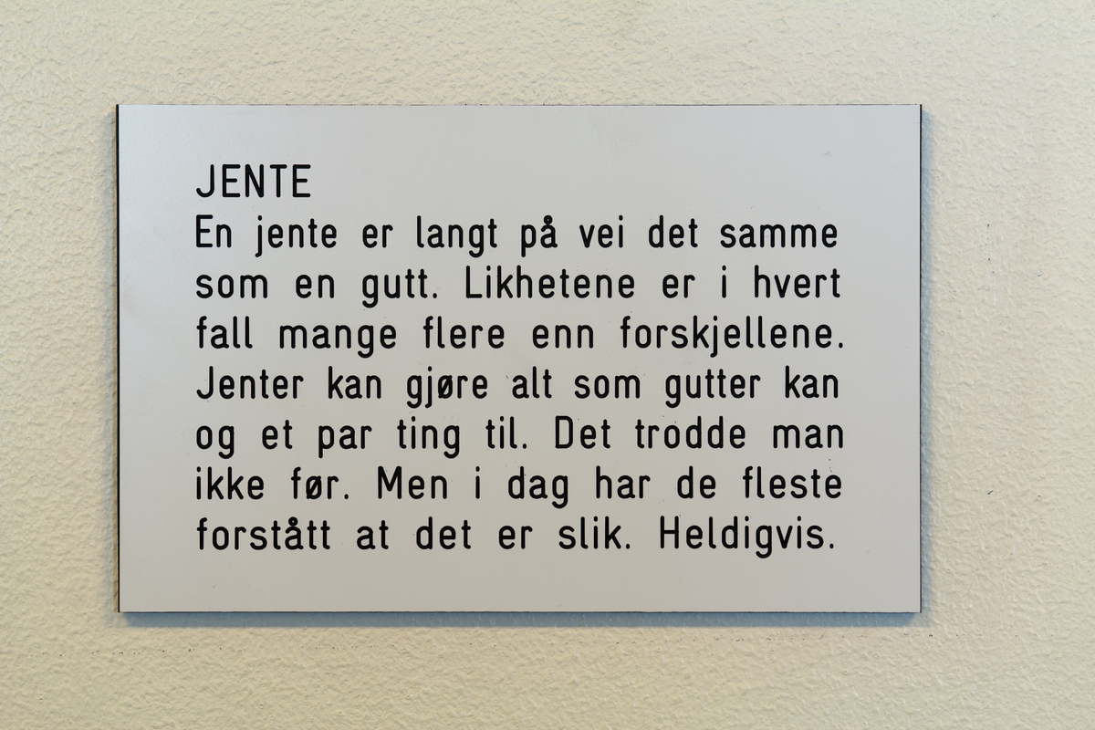 Sykkel, en onkel som angrer på noe han gjorde i går,  Kruska-Larsen, Sekaseka og waka waka, hjelmasuar (verdens tredje største fugl), gutt, bever, pølseretter med piff / barneselskapets pølsepinsvin, øvelse (dame gjør markløft med 1000 kg), onkel som venter på at noe magisk skal skje, fariseer, vann, en mistenksom bever, jente, banan, Kina, livet (to brune skyer med øyne og bein), en bedrøvet ugle, los, døden, fremtid, ugler, en feig banan, ost, Maj-Britt Kartum (rektor), noen gode ting man kan bli.