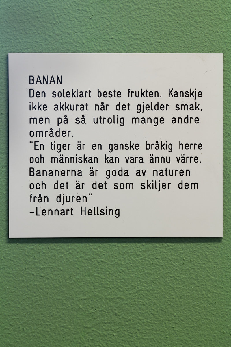 Sykkel, en onkel som angrer på noe han gjorde i går,  Kruska-Larsen, Sekaseka og waka waka, hjelmasuar (verdens tredje største fugl), gutt, bever, pølseretter med piff / barneselskapets pølsepinsvin, øvelse (dame gjør markløft med 1000 kg), onkel som venter på at noe magisk skal skje, fariseer, vann, en mistenksom bever, jente, banan, Kina, livet (to brune skyer med øyne og bein), en bedrøvet ugle, los, døden, fremtid, ugler, en feig banan, ost, Maj-Britt Kartum (rektor), noen gode ting man kan bli.