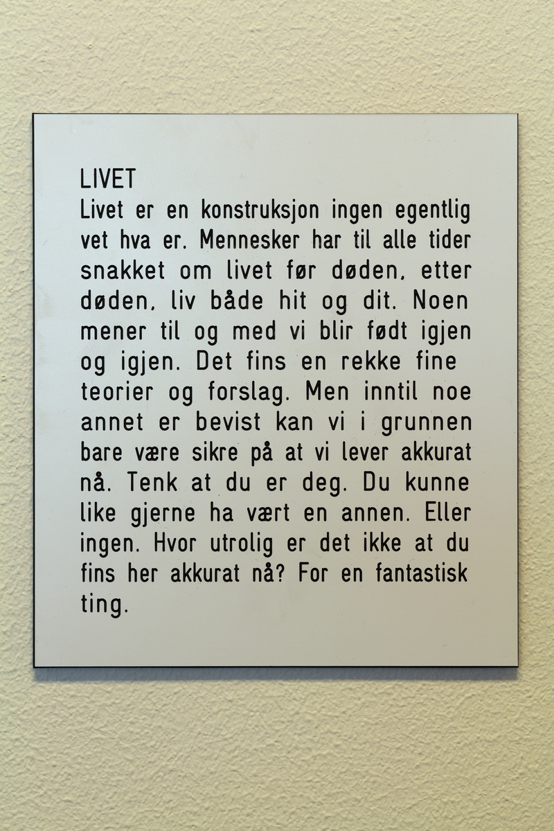 Sykkel, en onkel som angrer på noe han gjorde i går,  Kruska-Larsen, Sekaseka og waka waka, hjelmasuar (verdens tredje største fugl), gutt, bever, pølseretter med piff / barneselskapets pølsepinsvin, øvelse (dame gjør markløft med 1000 kg), onkel som venter på at noe magisk skal skje, fariseer, vann, en mistenksom bever, jente, banan, Kina, livet (to brune skyer med øyne og bein), en bedrøvet ugle, los, døden, fremtid, ugler, en feig banan, ost, Maj-Britt Kartum (rektor), noen gode ting man kan bli.