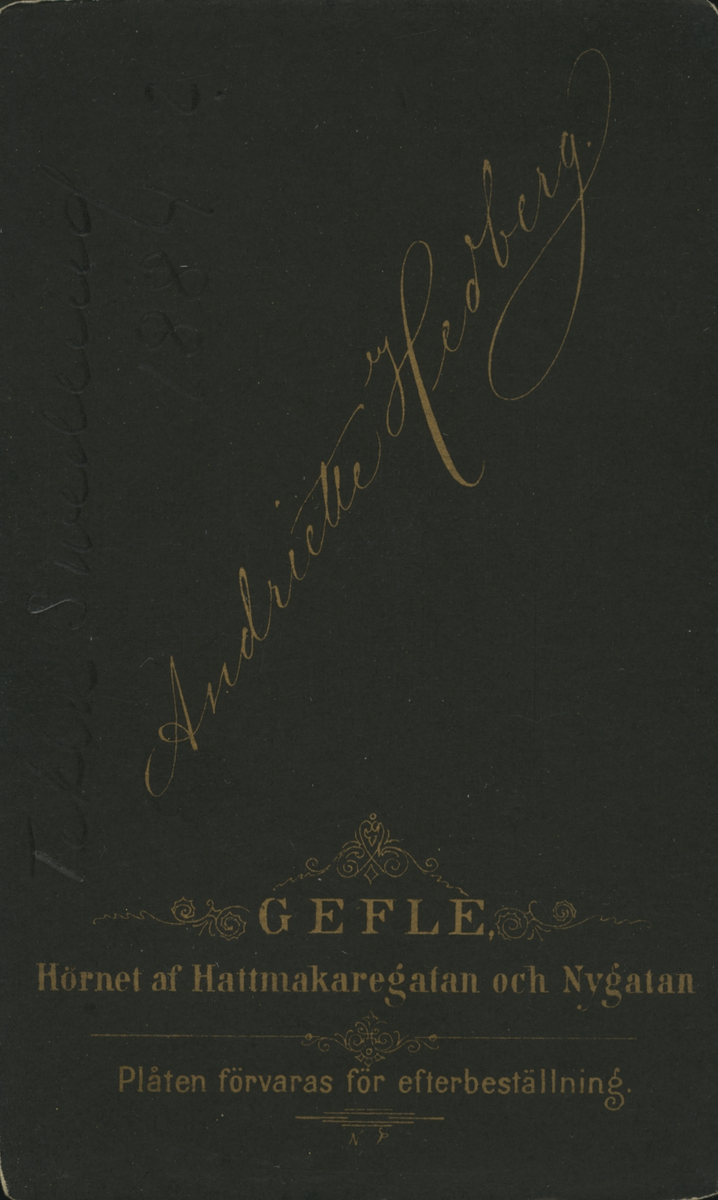 Porträtt av Tekla Swedlund, 1884? (enligt text på baksidan av kortet).