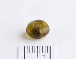 Järnålderns pärlor