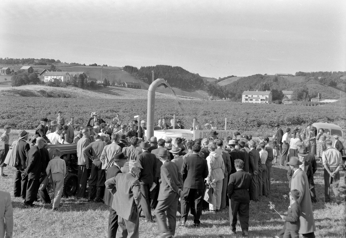 Landbruksutstillingen 1954