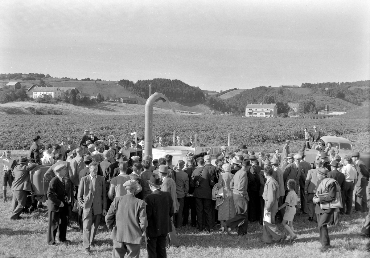 Landbruksutstillingen 1954