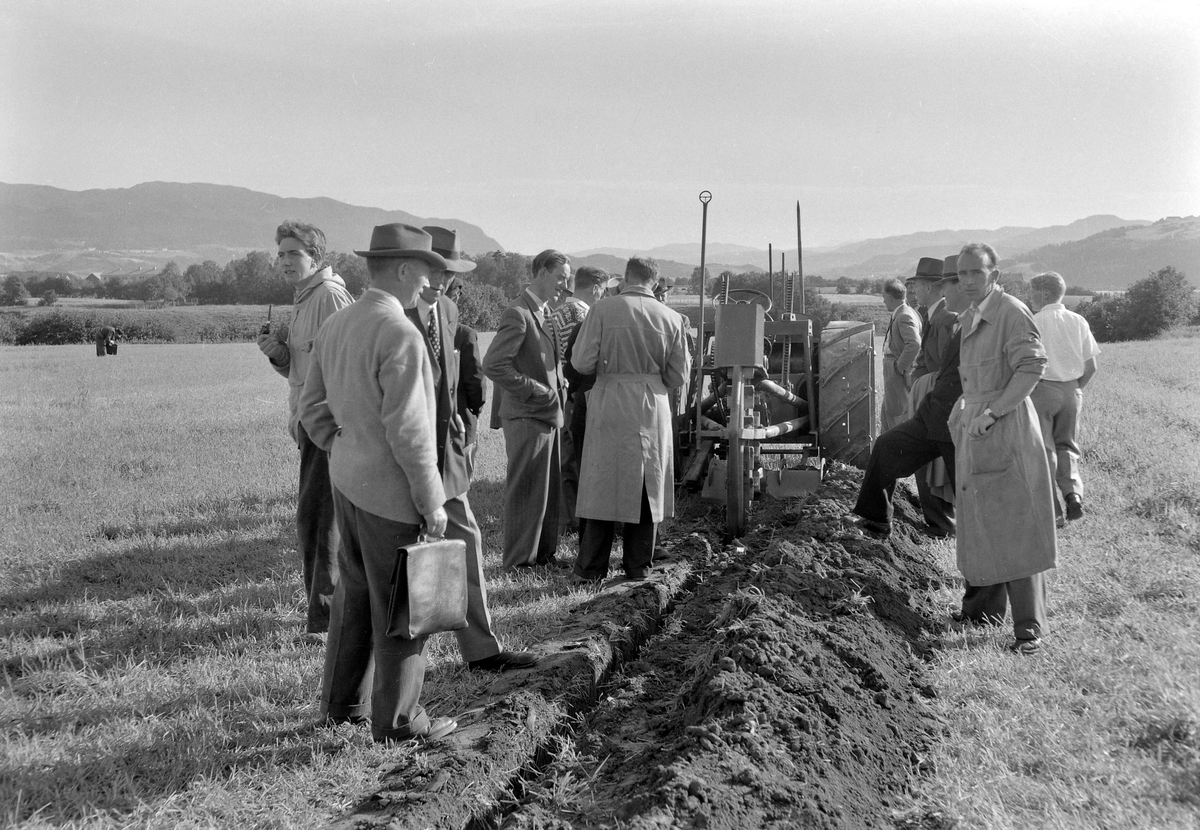 Landbruksutstillingen 1954