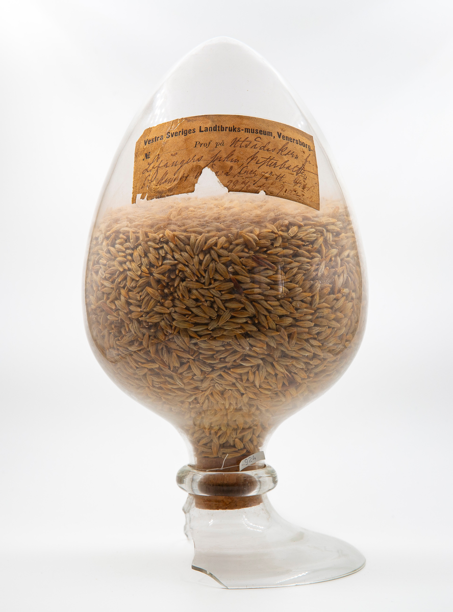 Glasbehållare innehållande fröer av korn (Hordeum). På etiketten står Utsädeskorn från Löfångers sn, Vesterbotten.

Ingår i en frösamling under namn: ''Westra Sveriges Lantbruksmuseum''. Bildat 1880 efter lantbruksmötet i Borås. Samlingen, vilken består av glasbehållare innehållande frön från svenska kulturväxter och träd, uppställdes först på länsresidenset i Vänersborg.

Samlingen kom att bli en av Vänersborgs museums 4 grundsamlingar och uppställdes i museets övre våning vid museets öppnande 1891.

Troligen är glasbehållaren tillverkad vid Reijmyre glasbruk, ligger i Rejmyre, norr om Norrköping.