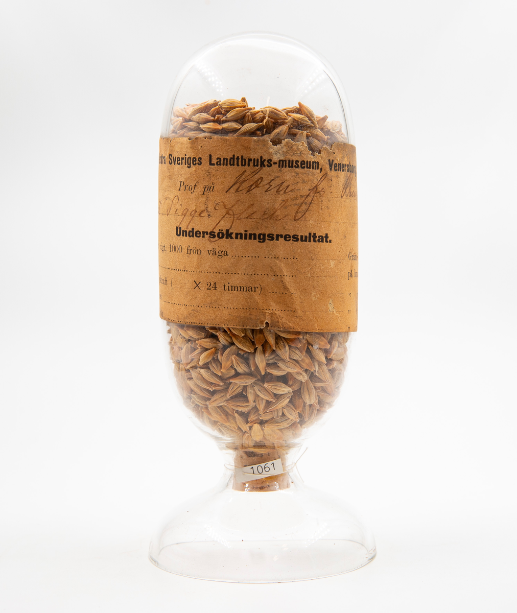 Glasbehållare innehållande fröer av Korn (Hordeum). På etiketten står Korn från Prinshaga, Kapt Sigge Flack.

Ingår i en frösamling under namn: ''Westra Sveriges Lantbruksmuseum''. Bildat 1880 efter lantbruksmötet i Borås. Samlingen, vilken består av glasbehållare innehållande frön från svenska kulturväxter och träd, uppställdes först på länsresidenset i Vänersborg.

Samlingen kom att bli en av Vänersborgs museums 4 grundsamlingar och uppställdes i museets övre våning vid museets öppnande 1891.

Troligen är glasbehållaren tillverkad vid Reijmyre glasbruk, ligger i Rejmyre, norr om Norrköping.
