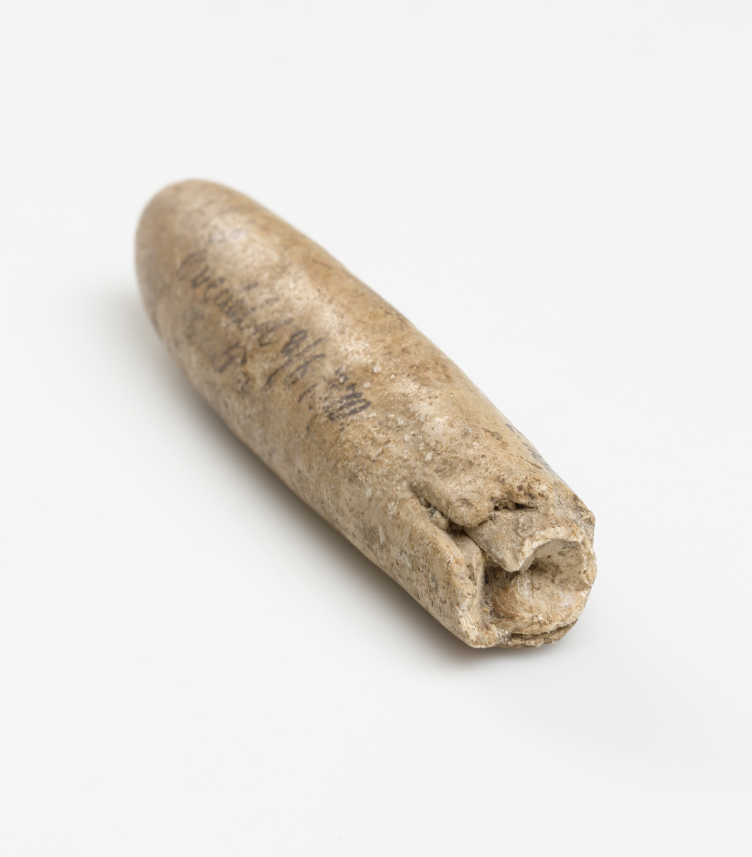 Fossil av Belemnit (utdöd bläckfisk) med cigarrliknande form. S.k. vätteljus/vättaljus.