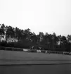 Svenska Flaggans dag 1943. 
Gymnastikuppvisning (på bom), av några kvinnliga gymnaster på Värendsvallen.