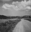 En landsväg med böljande landskap i bakgrunden, omkring 1936.

Text vid foto: 