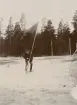Artilleriofficer från Upplands artilleriregemente A 5 sätter ner fana  på fält, ca 1900.