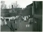 Västerås, Centrum, kv. Linnéa.
Kvinnor hänger tvätt på innergård, 1902.