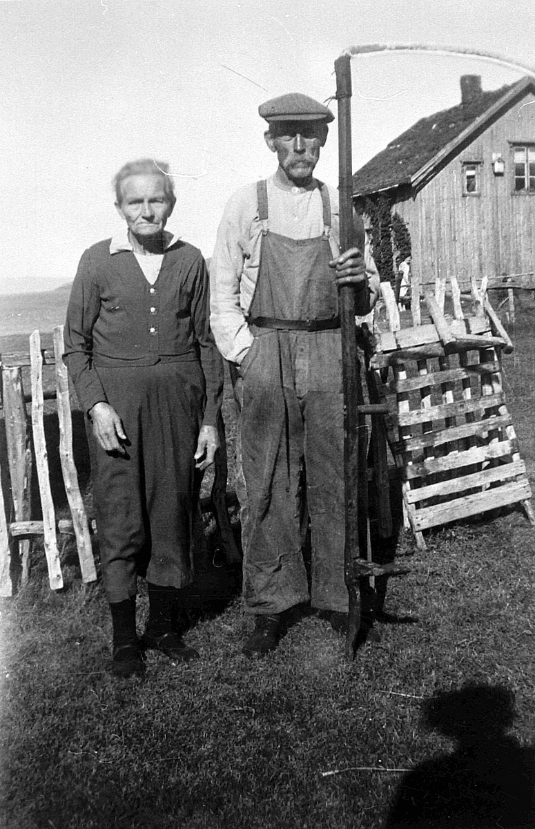 Portrett av søsken