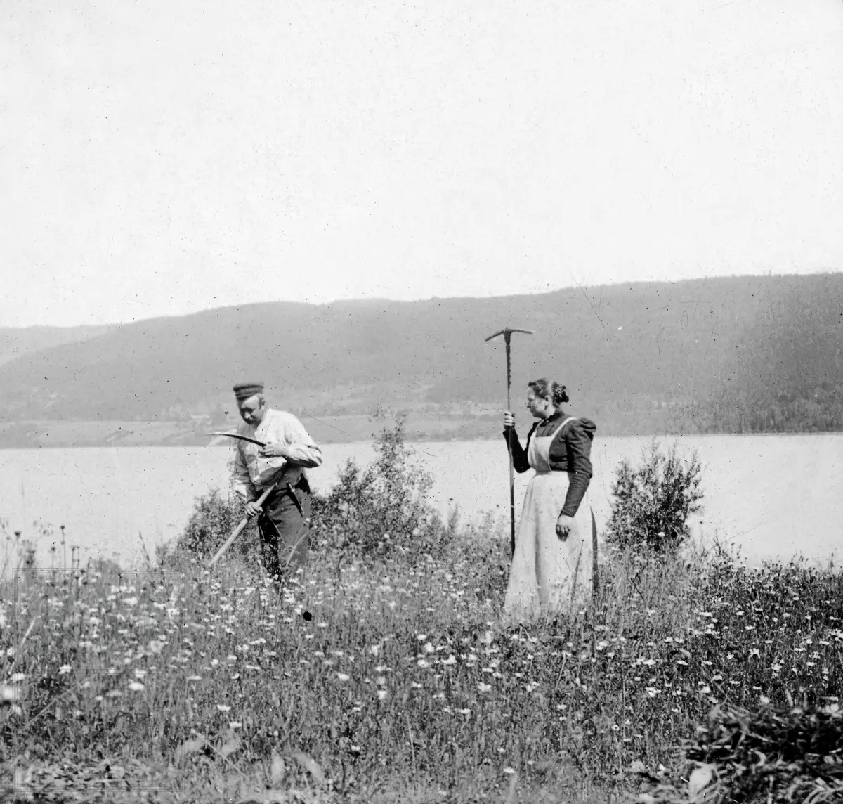 Slåttonn på Rundtom