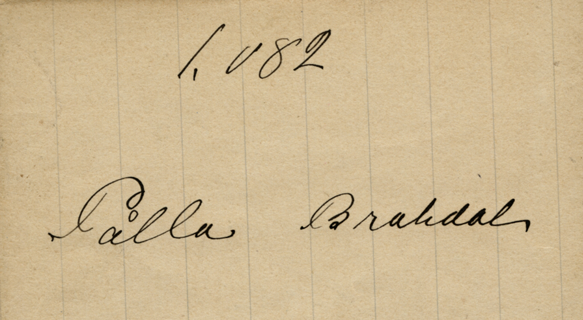 En kvinne.
Ei Polla Bradal, født 1882 bor sammen med foreldrene på Søndre Bradal i Vestre Toten i folketellingen 1891. Hvis fotografiet er fra perioden Gullord var fotograf på Gjøvik, kan det være hun som er på fotografiet.
Skrevet på papir som er festet til negativet: 1082  Pålla Brahdal, se bilde GM_MG.03090_1.