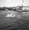 Evedal, 1943. 
Vattenpolomatch. I bakgrunden syns bl a en brygga med mycket publik.