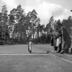 SM i gång på Värendsvallen, 1943. 
10 km för juniorer, gång.
