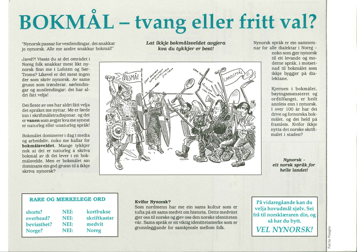 Flygeblad frå samlinga til Norsk Målungdom med overskrifta "Skriv norsk. Vel nynorsk!" med bilete av Kong Haakon