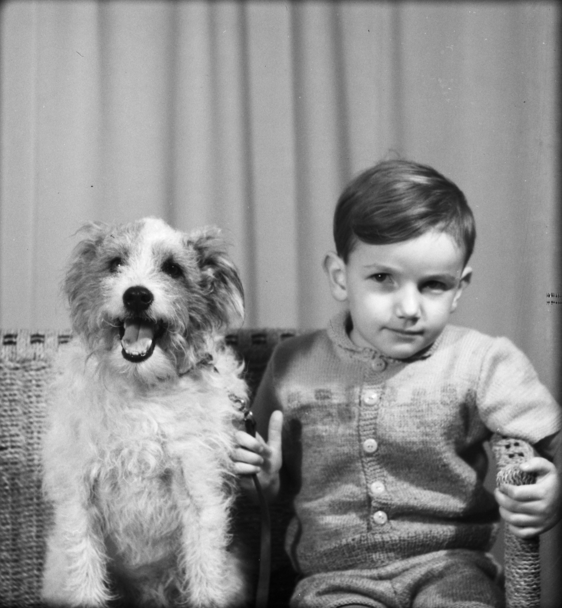 "Fru Öhlund" samt pojken Öhlund och hund från Foghammar, Alunda socken, Uppland 1949