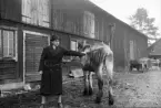 Man och häst utanför stall, Alunda, Uppland