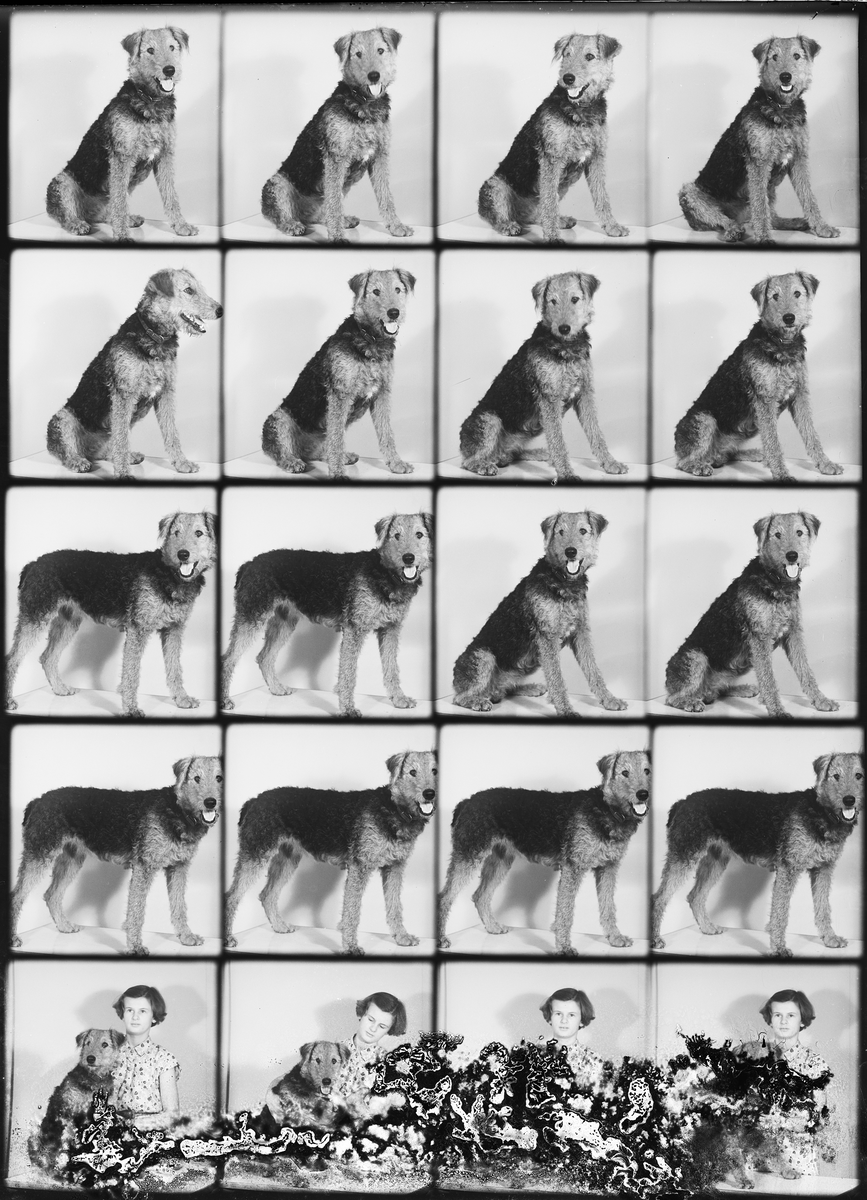 Hund och Birgitta Fredman, Fresta, Alunda socken, Uppland