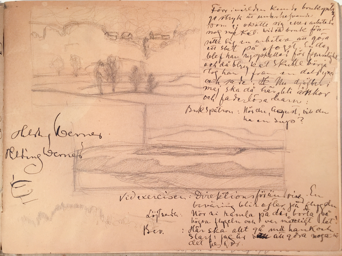 Skissboken innehåller 46 teckningar ( blad ).