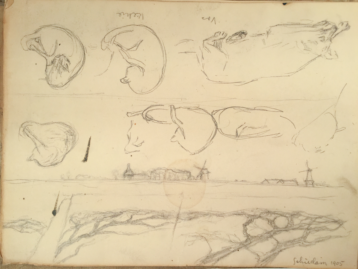 Skissboken innehåller 46 teckningar ( blad ).