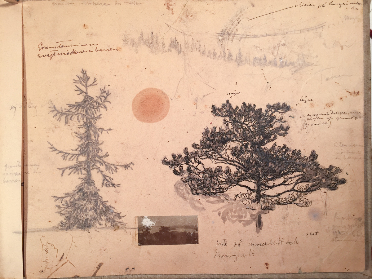 Skissboken innehåller 46 teckningar ( blad ).