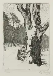 STIG BORGLIND