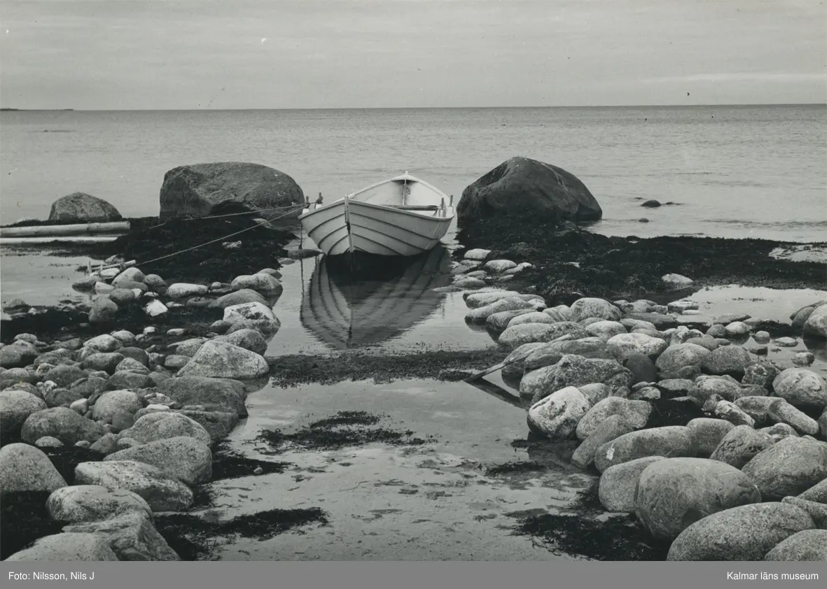 Eka indragen i kås.