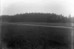 Åker (?) med landsväg. I bakgrunden syns granskog.