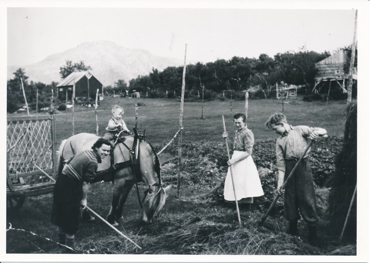 Folk i arbeide med slottonna, hest og vogn i 1943.