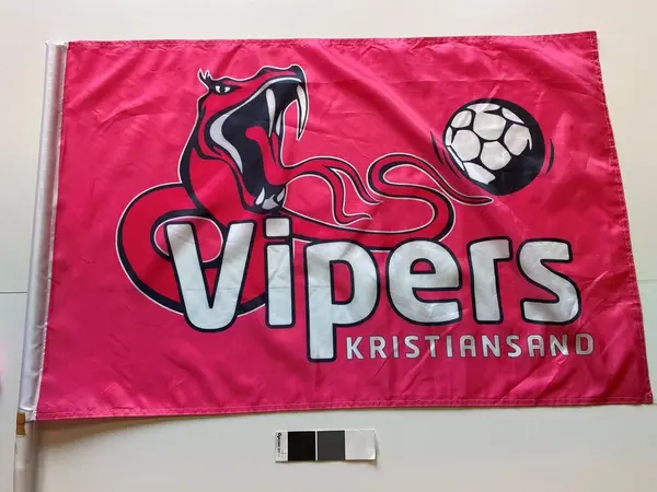 Vipers Kristiansand - verdens beste damelag i håndball