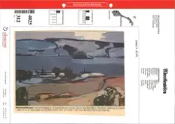 Avisutklipp