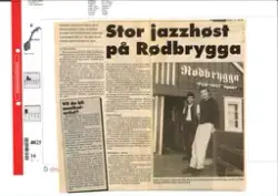 Avisutklipp