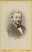 Porträtt av Göran Fredrik Göransson (18191900) var en svensk industriman och föregångare inom svensk ståltillverkning och export.