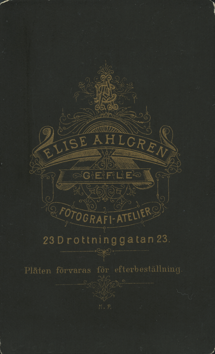 Mansporträtt.