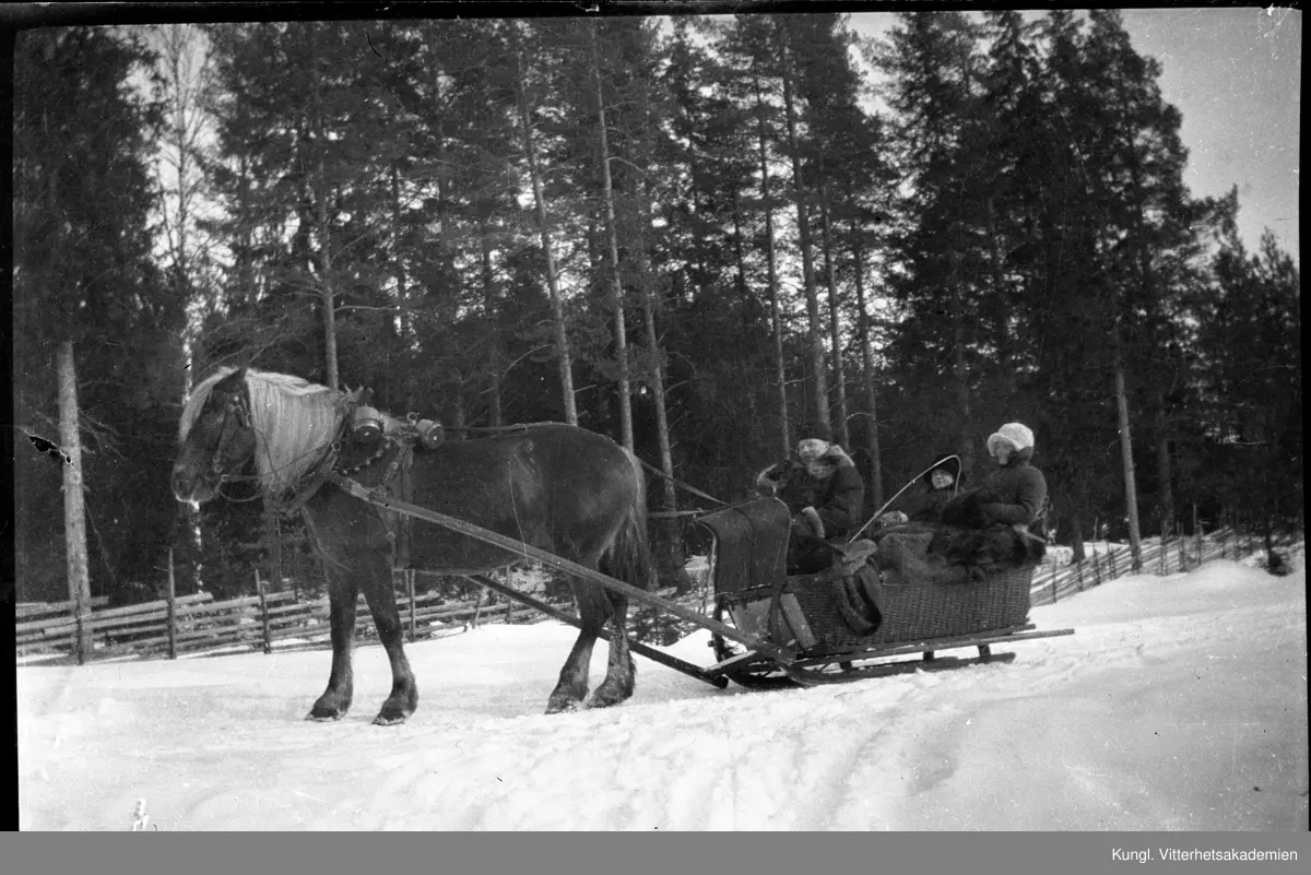 En man och två kvinnor i en släde flätad i korg dragen av en häst på snötäckt mark. Hästen har bjällror monterade på seldonet. Mannen sitter längst fram och håller i tömmarna. Han bär en päls och bredvid honom är en piska. Kvinnorna har fällar över knäna. I bakgrunden syns en gärdesgård i trä och skog.