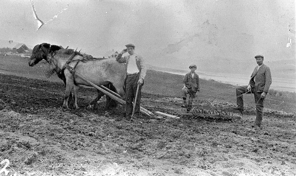 Martinus Kanstad og sønner, Malangen