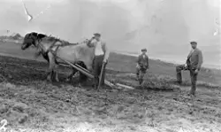 Martinus Kanstad og sønner, Malangen