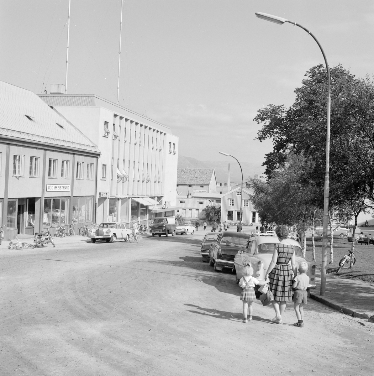 Hurtigruten Brønnøysund