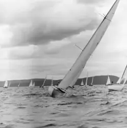 Landsregatta. Horten