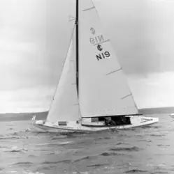 Landsregatta. Horten