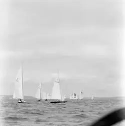 Landsregatta. Horten