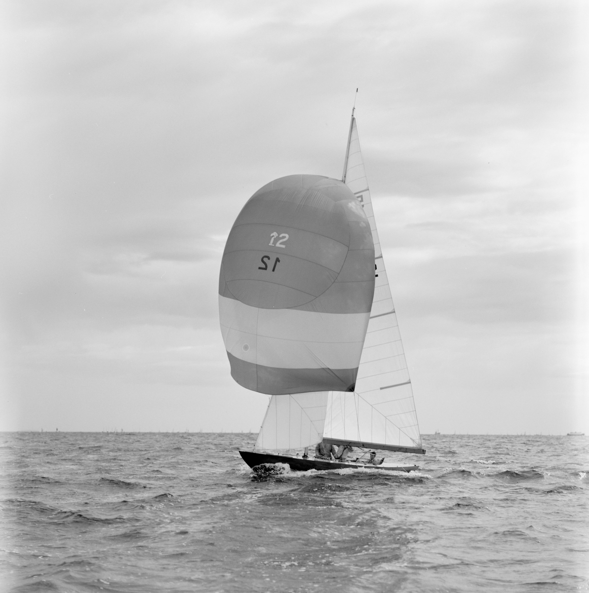 Landsregatta. Horten