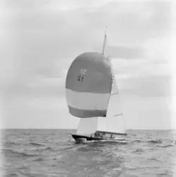 Landsregatta. Horten