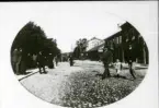 Västerås, kv. Oden.
Mycket suddig Folkmarknadsbild från Hamngatan. C:a 1900-1910.