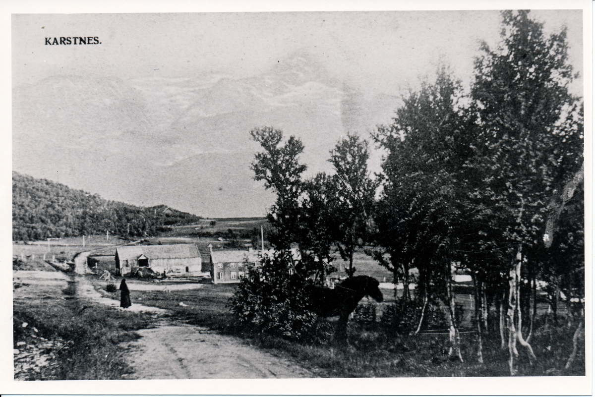 Prospektkort fra Kastnes i Dyrøy kommune. Kort fra 1910-1920.